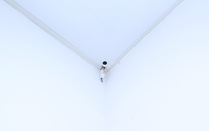 CCTV 